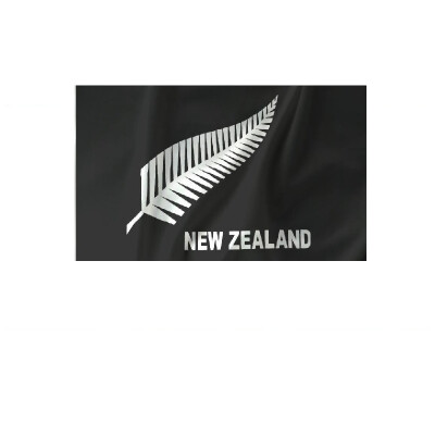 Silver Fern Flag image