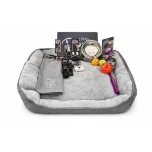 Ultimate Dog Starter Bundle Large-719